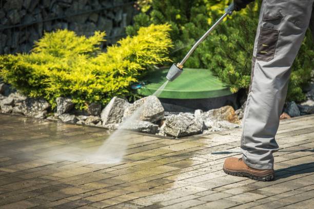 Best Animal Enclosure Cleaning  in Morn, GA